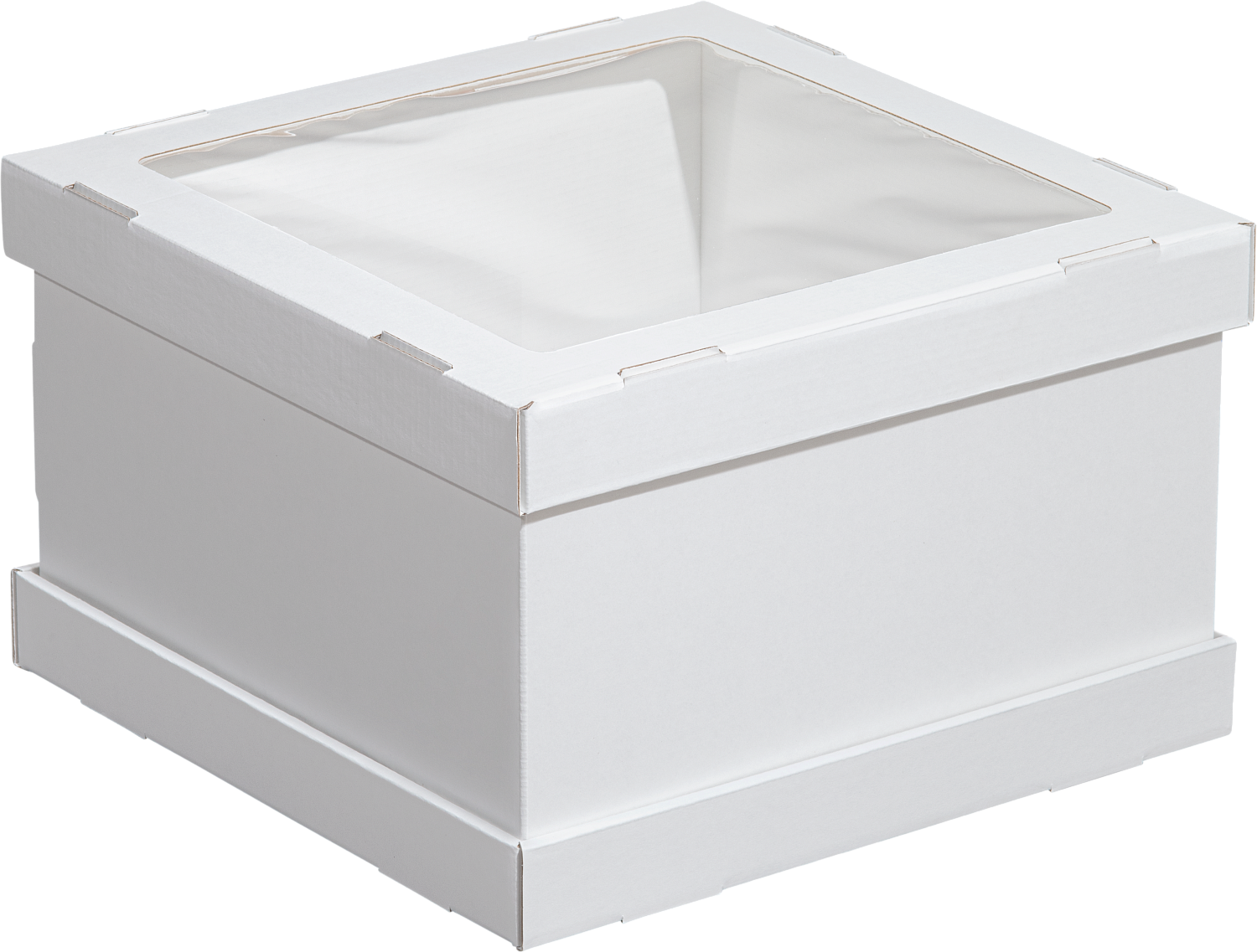 Логотип бренда FORGENIKA