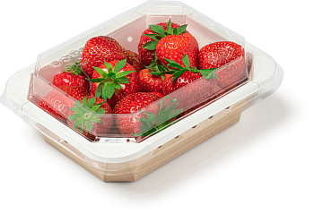 Фото товара: Крышка RPET полукупол OSQ OCTOBOX 500 (560 шт./кор.)