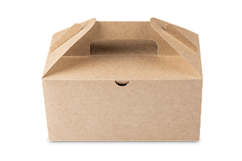 Фото товара: Упаковка OSQ BOX WITH HANDLE M (225 шт./кор.)